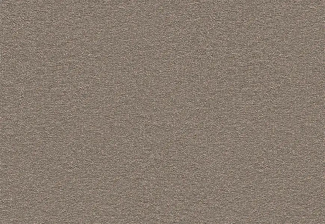 Echo Core Carpet Swinsto