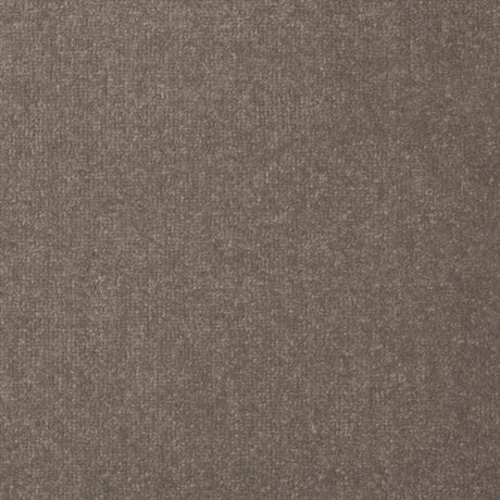 Manor Velvet - Graphite
