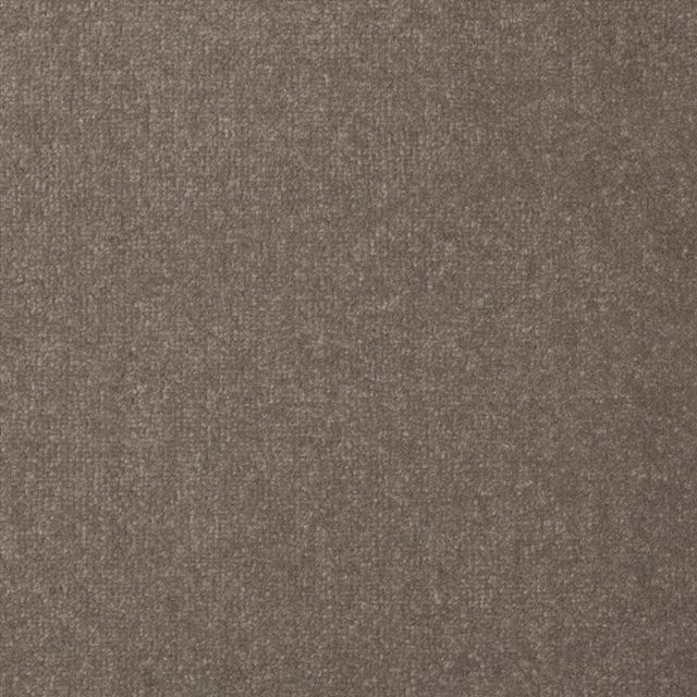 Manor Velvet - Graphite