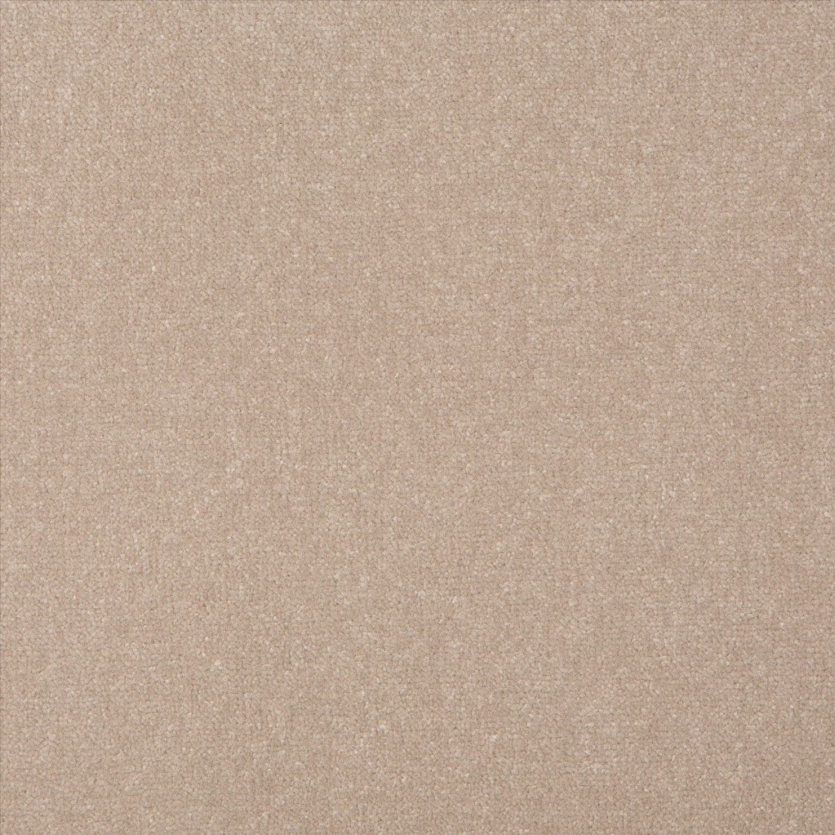 Manor Velvet - Turtle