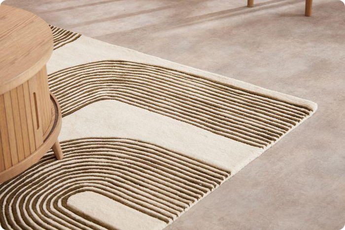 Caring for Your Carpets & Rugs - Caseys Furniture