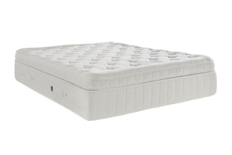 RegulateX 3500 5ft Mattress
