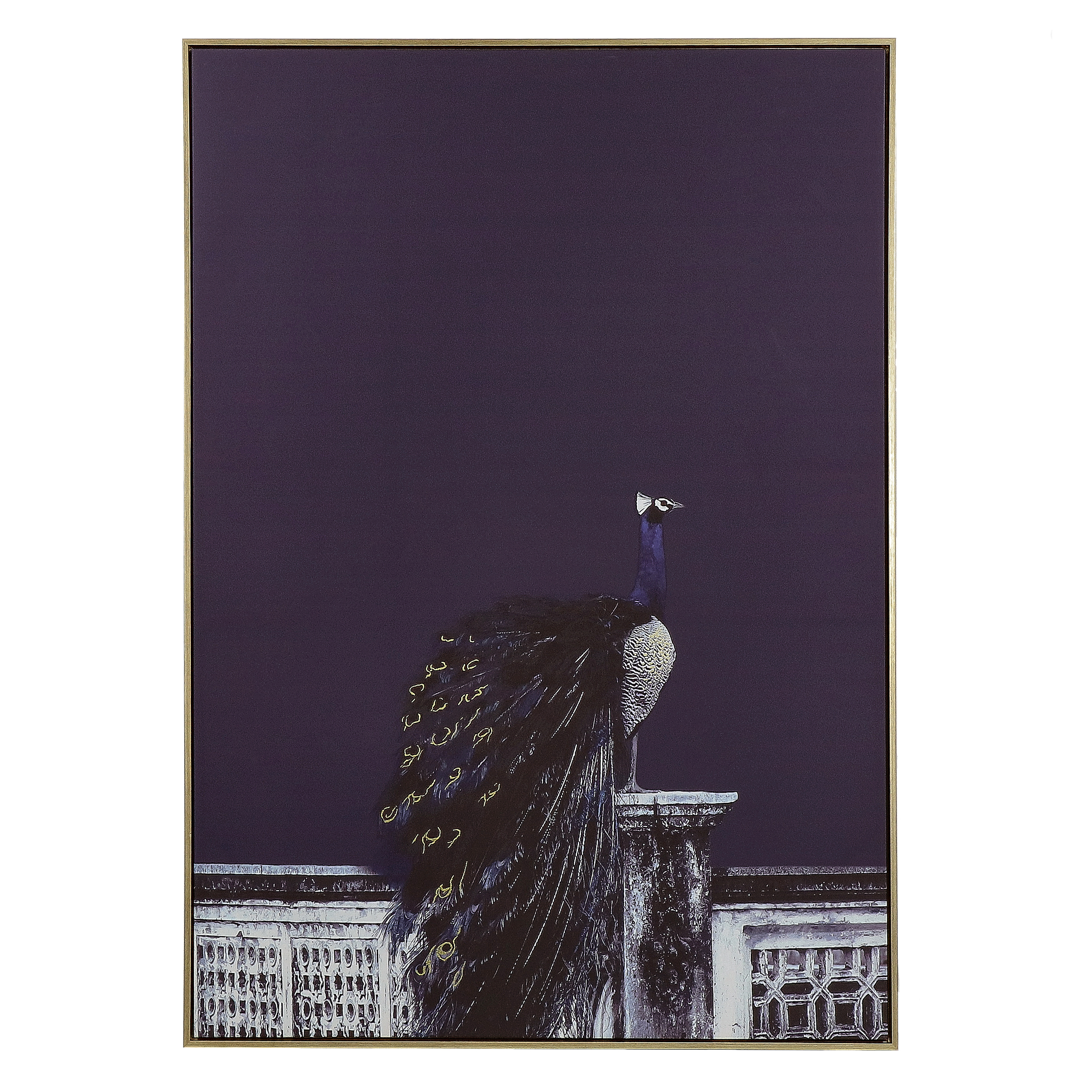 Pavo Real Framed Canvas