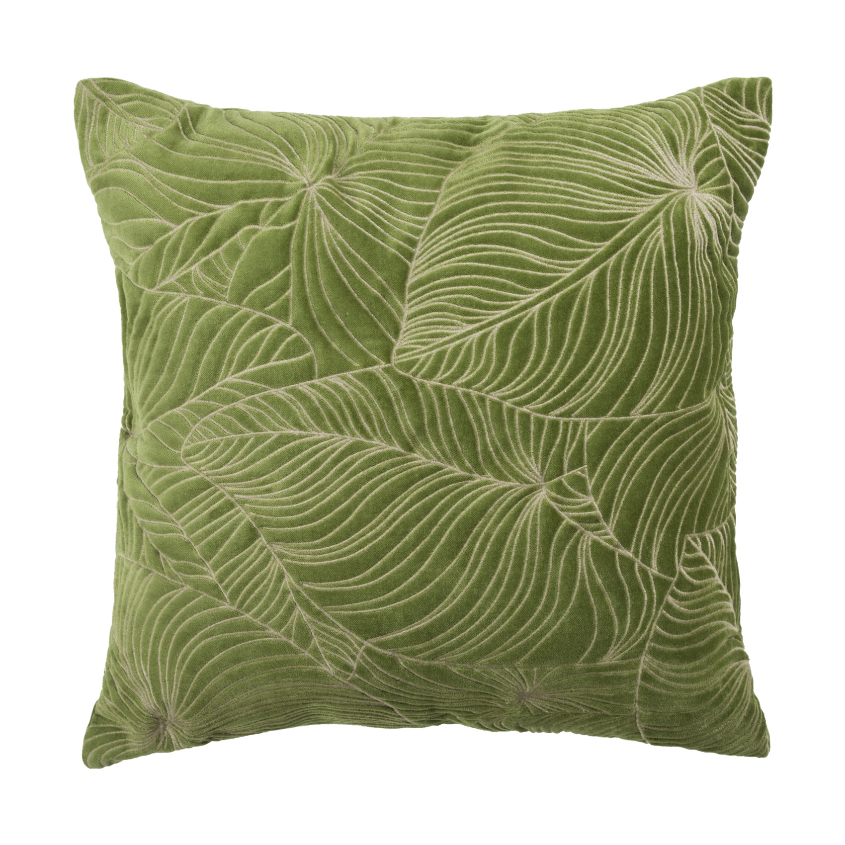 Taro Grass Cushion