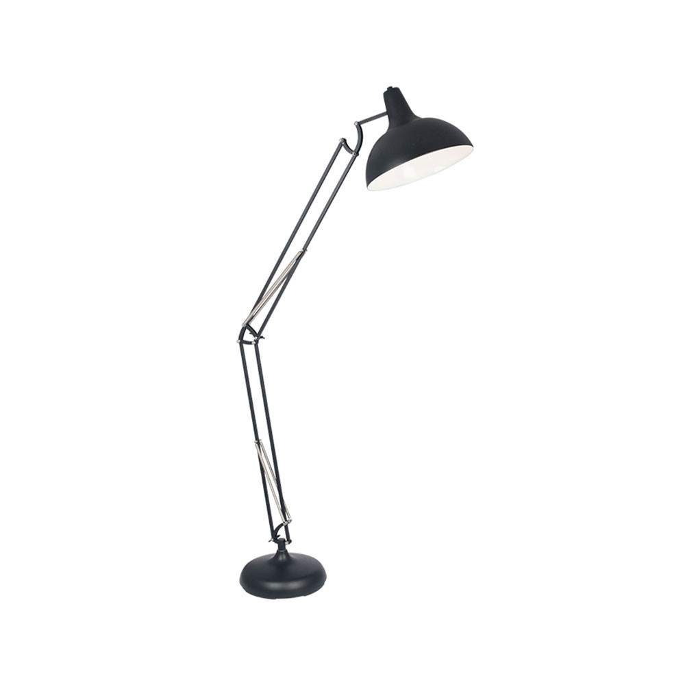 Alonzo Matte Black Floor Lamp