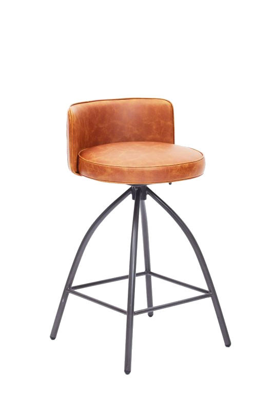Donnacha Bar Stool