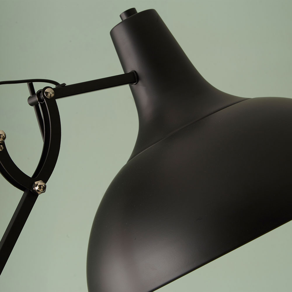 Alonzo Matte Black Floor Lamp