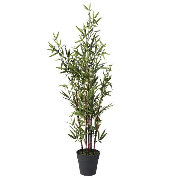 Bamboo Tree