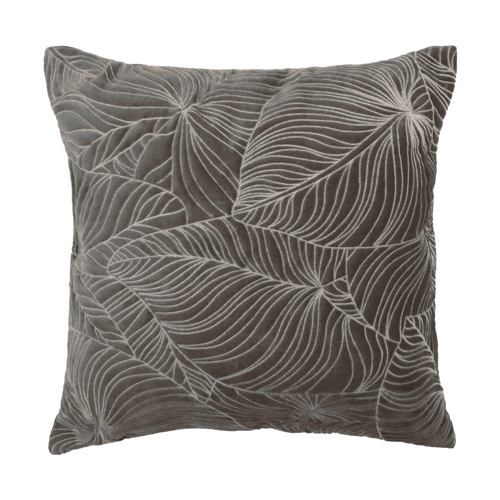Taro Iron Cushion