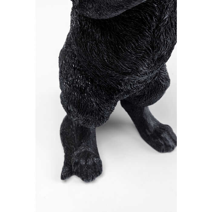 Kitty Holding Table Lamp