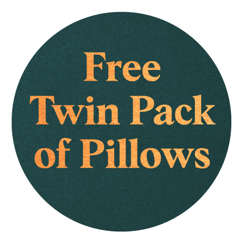 Free Twin Pack Pillows Fall