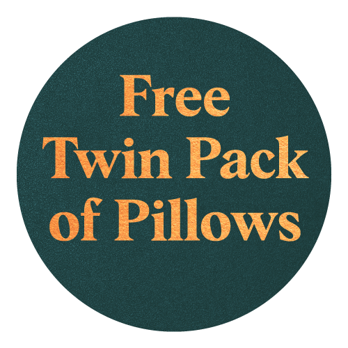 Free Twin Pack Pillows Fall Free Twin Pack Pillows Fall