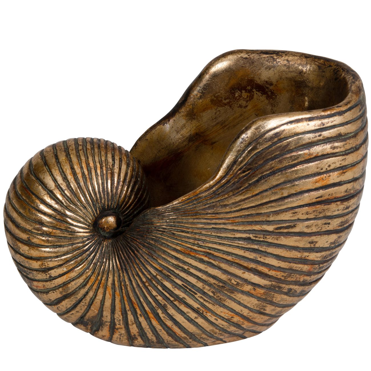 Golden Shell Planter
