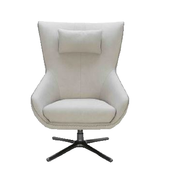 Nova Arm Chair & Headrest