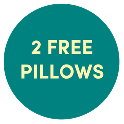 Winter Sale 2 free pillows