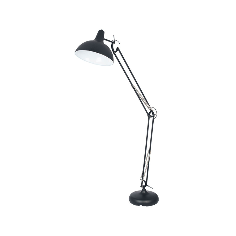 Alonzo Matte Black Floor Lamp