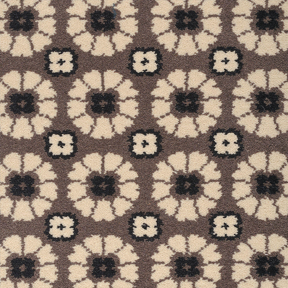 Quirky Daisy - Gerbera 7260